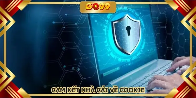 Cam kết nhà cái thông qua chính sách hoạt động