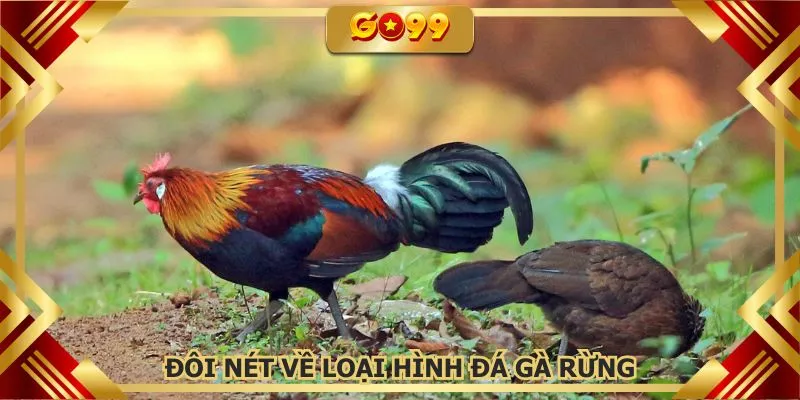 Khái niệm thú vị của đá gà rừng